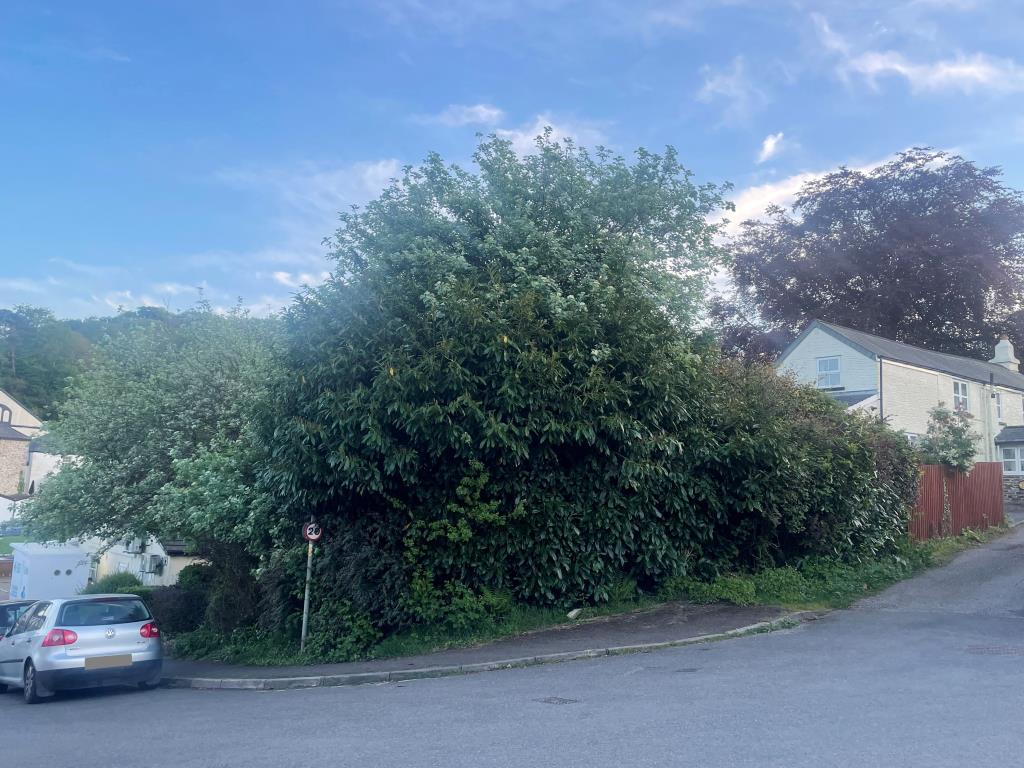 Lot: 55 - FREEHOLD LAND - External photo of overgrown land
